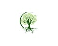 Green Of tree leaf logo ecology element nature vector Royalty Free Stock Photo