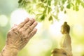 Vesak Day concept:  Praying hands with faith in religion and belief in God on Buddha statue nature sunset blurred background Royalty Free Stock Photo