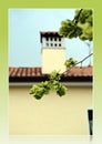 Green tree leaves and a house Royalty Free Stock Photo