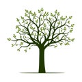 Green Tree with Leaves and Roots. Vector Illustration