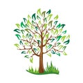 Green tree with leaves vector Stylized vector