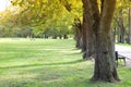 Green tree lined. Royalty Free Stock Photo