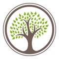 Green tree logo design template vector illustration eps 10 Royalty Free Stock Photo