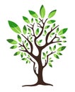 Green Tree Logo