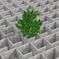 Green Tree Lost in Mysterious Infinite Concrete Maze Labyrinth Structure. 3d Rendering Royalty Free Stock Photo