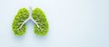 Green Tree Lungs Concept for Environment and Sustainability on Minimal Background Royalty Free Stock Photo