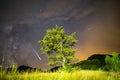 Green tree Milky way Meteor Shower