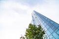 Green tree near skyscraper with blue clear windows