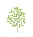 Green tree. Open paths. Editable stroke. Vector illustration.