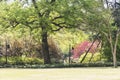 Green tree and Peach Blossom Royalty Free Stock Photo