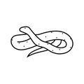 green tree python animal snake line icon vector illustration Royalty Free Stock Photo