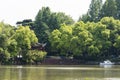 green tree and Qinghai river Royalty Free Stock Photo