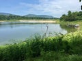 Green Tree Reservoir at Thailand Royalty Free Stock Photo