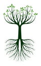 Green Tree on Root Logo Icon