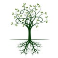 Green Tree with Roots. Vector Illustration. Royalty Free Stock Photo