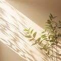 Green tree and shadow on a wall background. Olive color stylish flat lay with trendy shadow and sun light,Generative, AI,