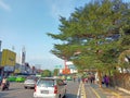 Green tree on the sidewalk in Bogor, Indonesia