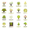 Green tree silhouette logo badge company nature eco emblem collection vector.