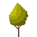 Green Tree, Summer Landscape Design Element, Flat Style Vector Illustration on White Background Royalty Free Stock Photo