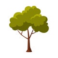 Green Tree, Summer Landscape Design Flat Style Vector Illustration on White Background Royalty Free Stock Photo