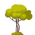 Green Tree, Summer Landscape Element Flat Style Vector Illustration on White Background Royalty Free Stock Photo