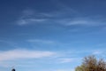 Green tree top line over blue sky and clouds background in summer Royalty Free Stock Photo