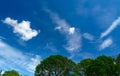 Green tree top line over blue sky and clouds background in summer Royalty Free Stock Photo