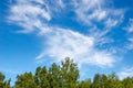 Green tree top line over blue sky and clouds background in summer Royalty Free Stock Photo