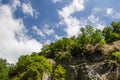 Green tree top over blue sky and clouds background in summer Royalty Free Stock Photo