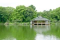 Green tree, traditional Japanese house, garden and water pond