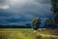 Green tree in a valley in the countryside on a dark gloomy day Royalty Free Stock Photo