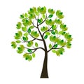 Green tree