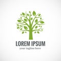 Green tree vector logo design template Royalty Free Stock Photo