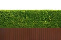 Green tree wall fence texture