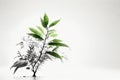 Green tree on a white background isolate. The concept of nature and . Eco friendly. AI Generation Royalty Free Stock Photo