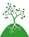 Green tree on white background