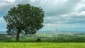 Green tree on wind energy farm, environmental protection, global warming Royalty Free Stock Photo