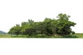 Green treeline isolated on white background