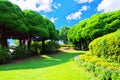 Green trees against blue sky with clouds Royalty Free Stock Photo