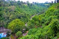 Green trees all around in Bali Indonesia. Green village all around. Royalty Free Stock Photo