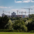 Green trees on the background of construction cranes at the construction site of skyscrapers Royalty Free Stock Photo