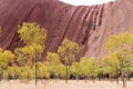 Green trees on the background of sandstone Uluru rock