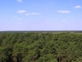 Green trees in a beautiful endless forest top view of the horizon Royalty Free Stock Photo