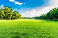 Green trees in beautiful park over blue sky Royalty Free Stock Photo