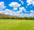 Green trees in beautiful park over blue sky Royalty Free Stock Photo