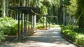 Green trees, bench and footpath