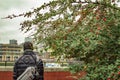 The green trees with berries and man facing the back