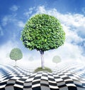 Green trees, blue sky with clouds and abstract checkerboard Royalty Free Stock Photo