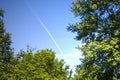 Green trees and a blue sky with a trail from an airplane