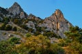 Green trees and bushes grow on steep side of mountain with sharp rocks, peaks in warm orange sunset light. Simeiz Royalty Free Stock Photo